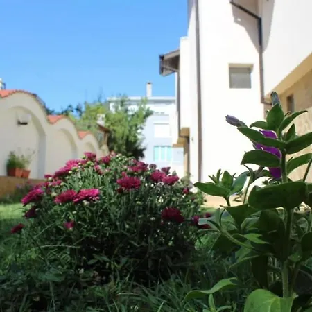 Хостел Siana House Равда